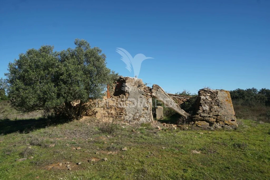 Quinta para Venda em São Francisco da Serra Foto 2