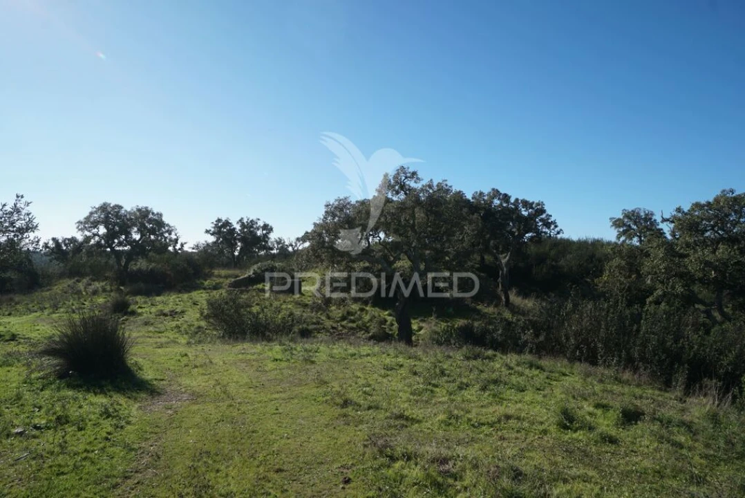 Quinta para Venda em São Francisco da Serra Foto 19