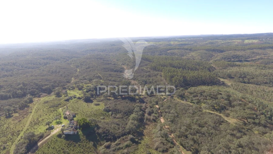 Quinta para Venda em São Francisco da Serra Foto 9