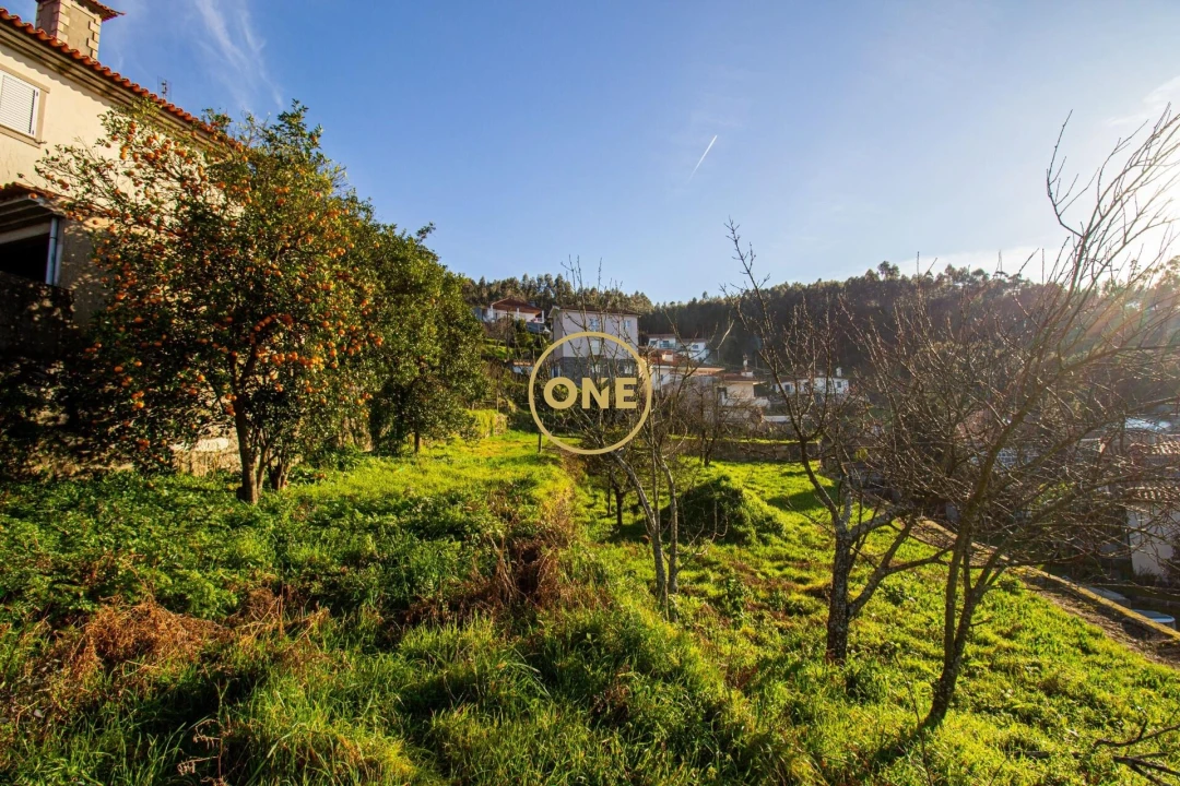 Terreno para Venda em Rebordões Foto 40