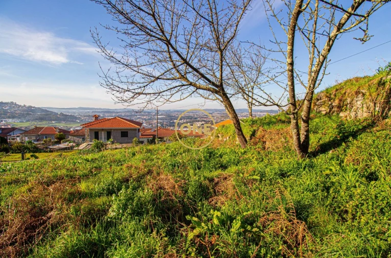 Terreno para Venda em Rebordões Foto 18
