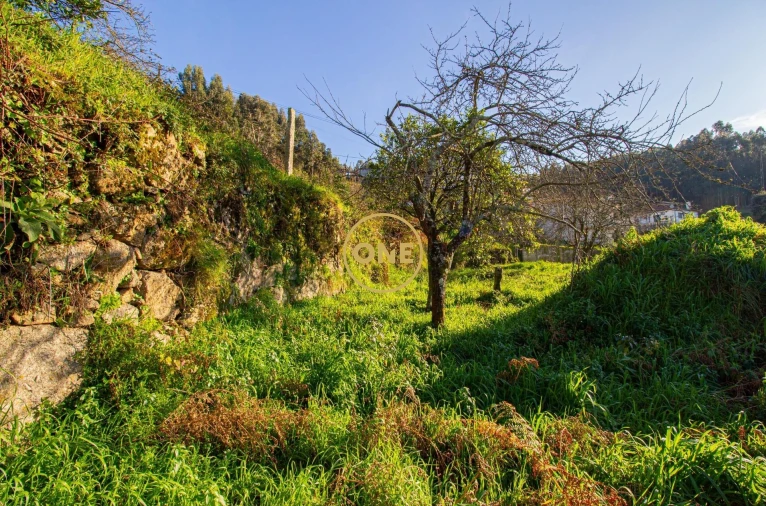 Terreno para Venda em Rebordões Foto 17