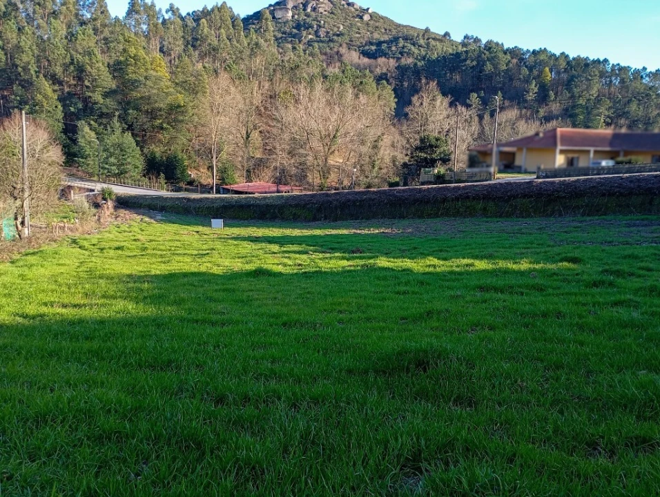 Terreno para Venda em Cantelães Foto 12