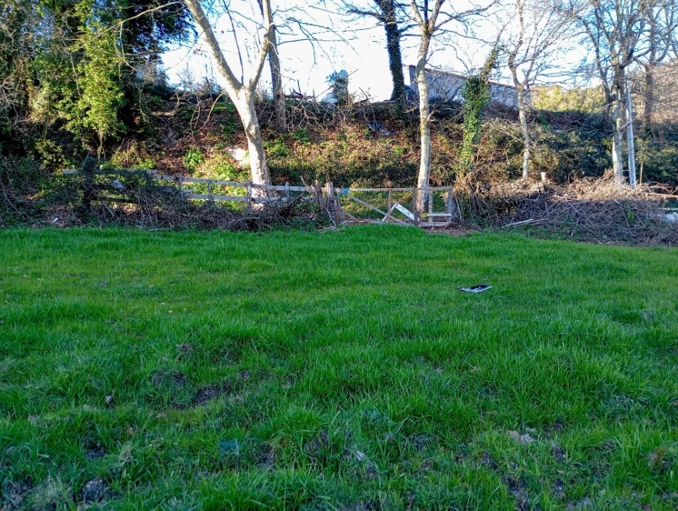 Terreno para Venda em Cantelães Foto 8