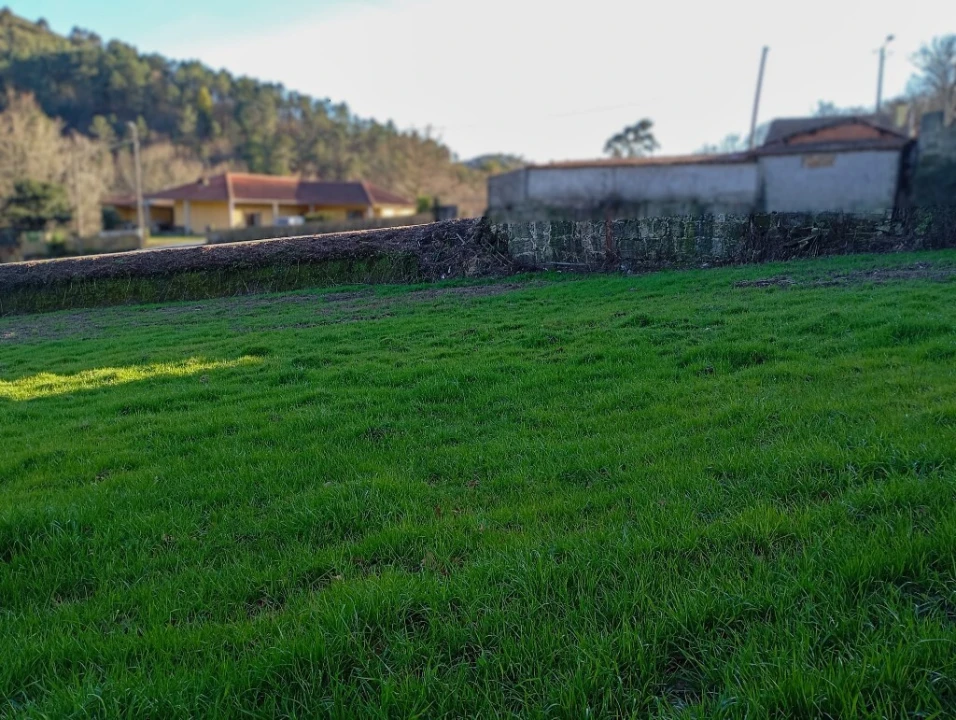 Terreno para Venda em Cantelães Foto 11
