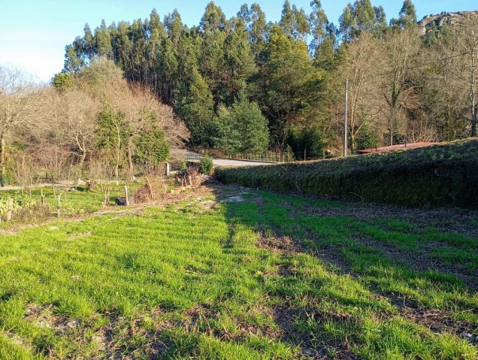 Terreno para Venda em Cantelães Foto 4