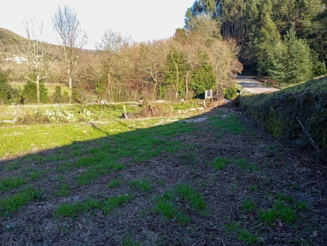 Terreno para Venda em Cantelães Foto 5