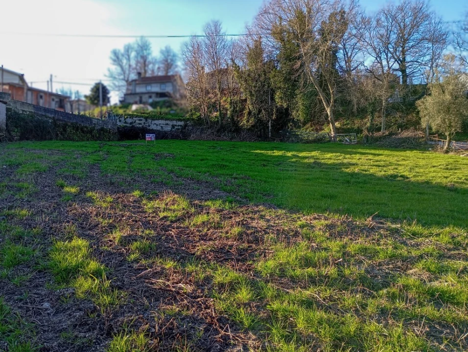 Terreno para Venda em Cantelães Foto 6