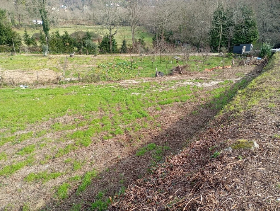 Terreno para Venda em Cantelães Foto 3
