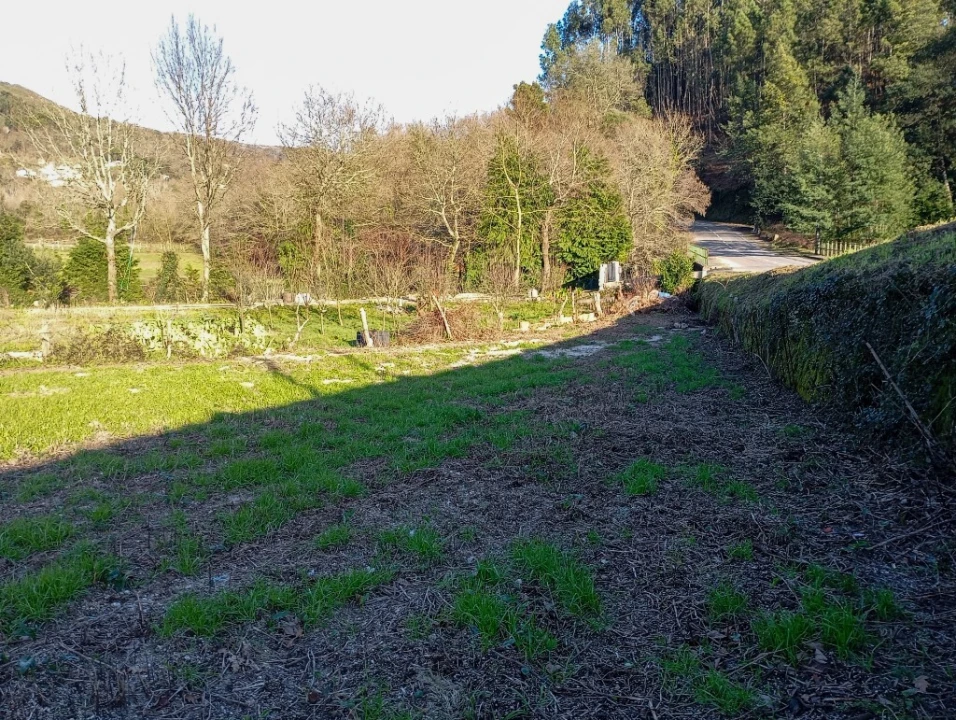 Terreno para Venda em Cantelães Foto 5
