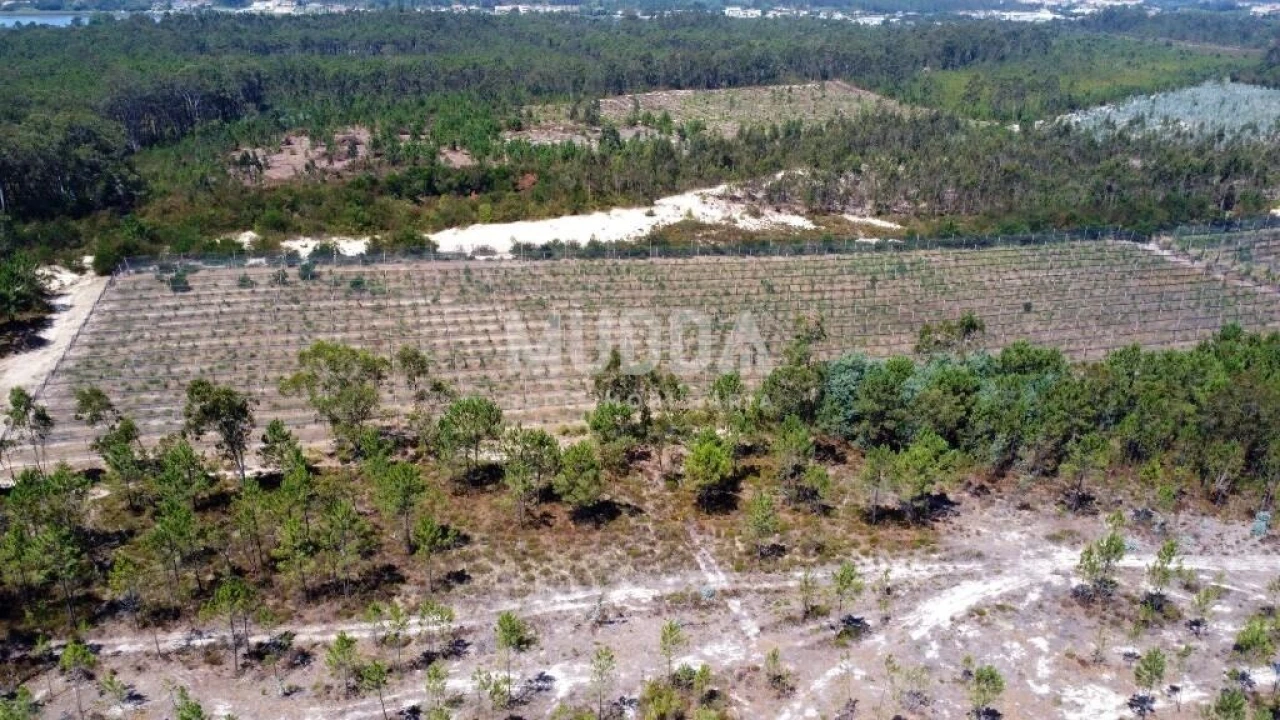 Negócio para Trespasse em Ovar, São João, Arada e São Vicente de Pereira Jusã Foto 33