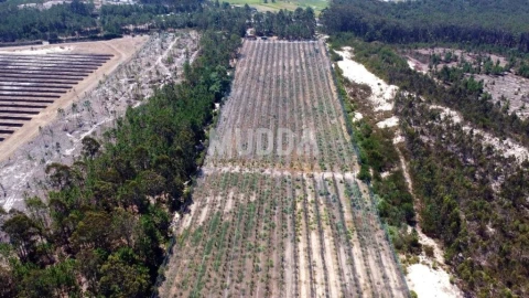 Negócio para Trespasse em Ovar, São João, Arada e São Vicente de Pereira Jusã