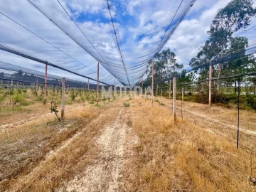 Negócio para Trespasse em Ovar, São João, Arada e São Vicente de Pereira Jusã