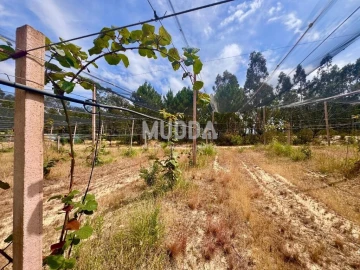 Negócio para Trespasse em Ovar, São João, Arada e São Vicente de Pereira Jusã