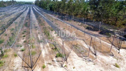 Negócio para Trespasse em Ovar, São João, Arada e São Vicente de Pereira Jusã