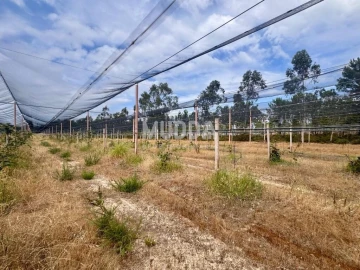 Negócio para Trespasse em Ovar, São João, Arada e São Vicente de Pereira Jusã