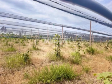 Negócio para Trespasse em Ovar, São João, Arada e São Vicente de Pereira Jusã