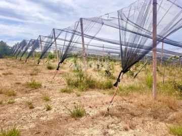 Negócio para Trespasse em Ovar, São João, Arada e São Vicente de Pereira Jusã