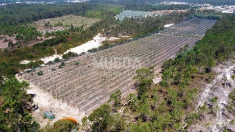 Negócio para Trespasse em Ovar, São João, Arada e São Vicente de Pereira Jusã