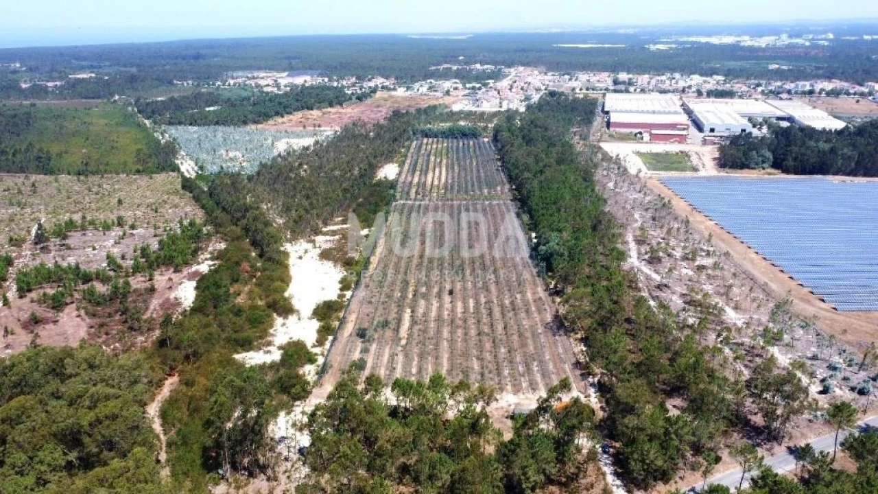 Negócio para Trespasse em Ovar, São João, Arada e São Vicente de Pereira Jusã Foto 20