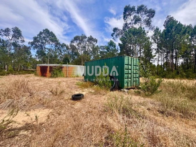 Negócio para Trespasse em Ovar, São João, Arada e São Vicente de Pereira Jusã Foto 13