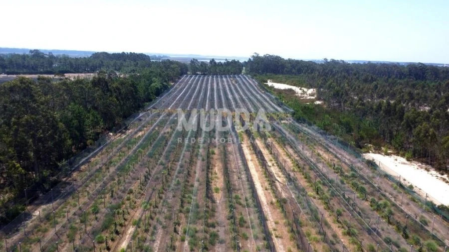 Negócio para Trespasse em Ovar, São João, Arada e São Vicente de Pereira Jusã Foto 23