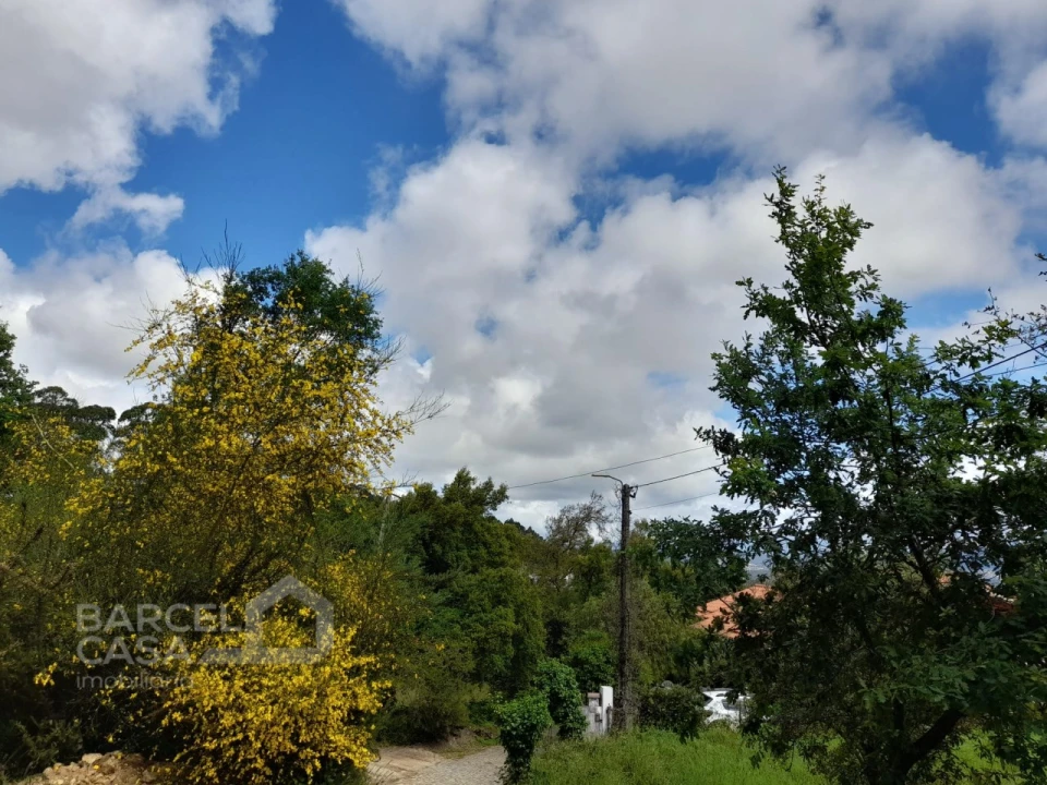 Terreno para Venda em Palme Foto 5