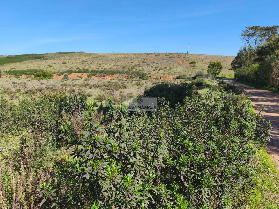 Terreno para Venda em Budens Foto 5