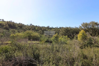 Terreno para Venda em Budens
