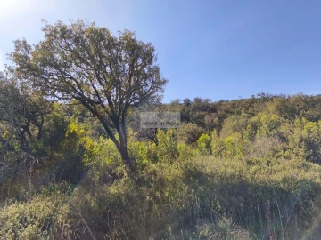 Terreno para Venda em Budens