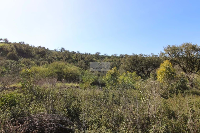 Terreno para Venda em Budens Foto 3