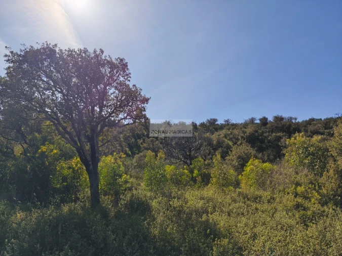 Terreno para Venda em Budens Foto 6