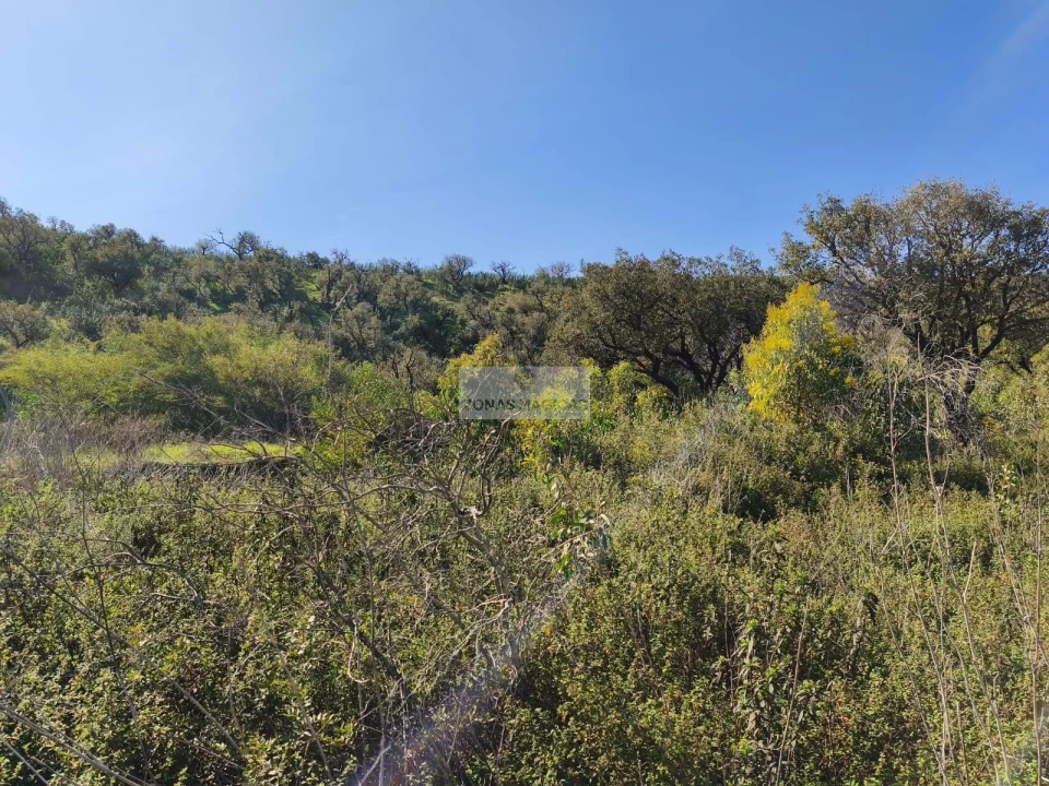 Terreno para Venda em Budens Foto 2