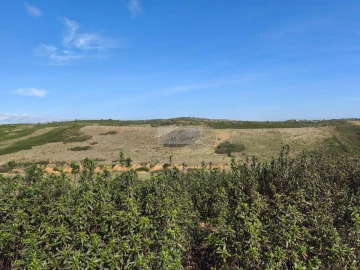 Terreno para Venda em Budens