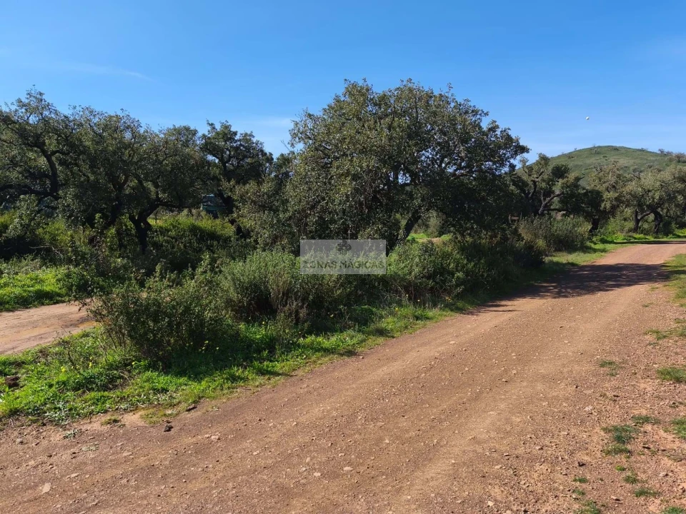 Terreno para Venda em Barão de São Miguel Foto 3