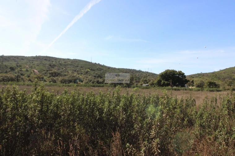 Terreno para Venda em Barão de São Miguel
