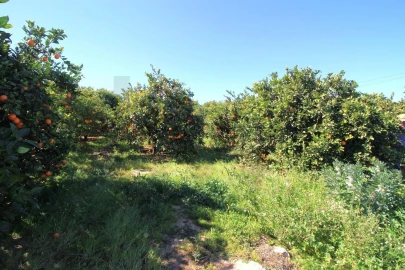 Moradia T2 para Venda em Silves