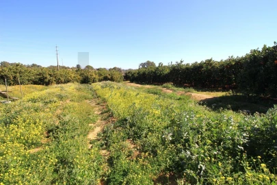 Moradia T2 para Venda em Silves
