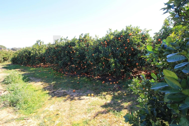 Moradia T2 para Venda em Silves Foto 33