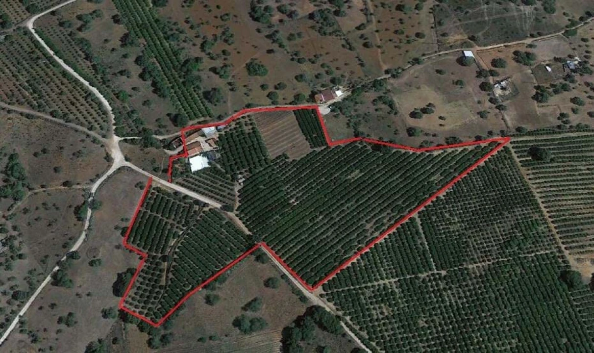 Moradia T2 para Venda em Silves Foto 31