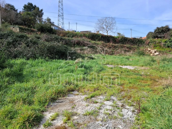 Terreno para Venda em Caminha (Matriz) e Vilarelho Foto 3