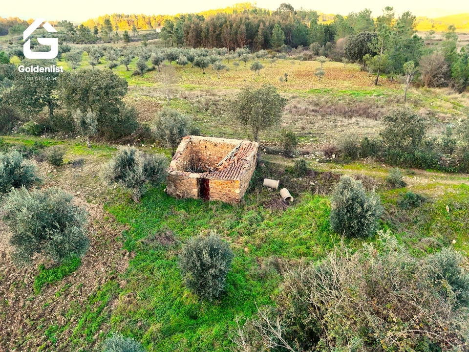 Quinta T0 para Venda em Freixial e Juncal do Campo Foto 10