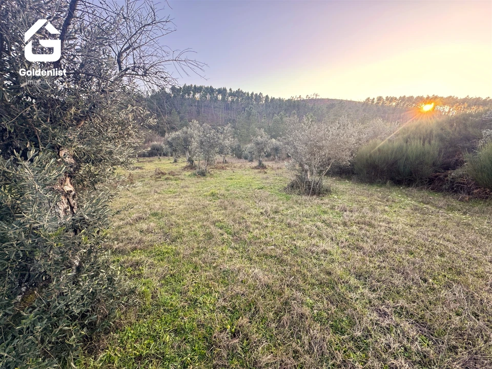 Quinta T0 para Venda em Freixial e Juncal do Campo Foto 17