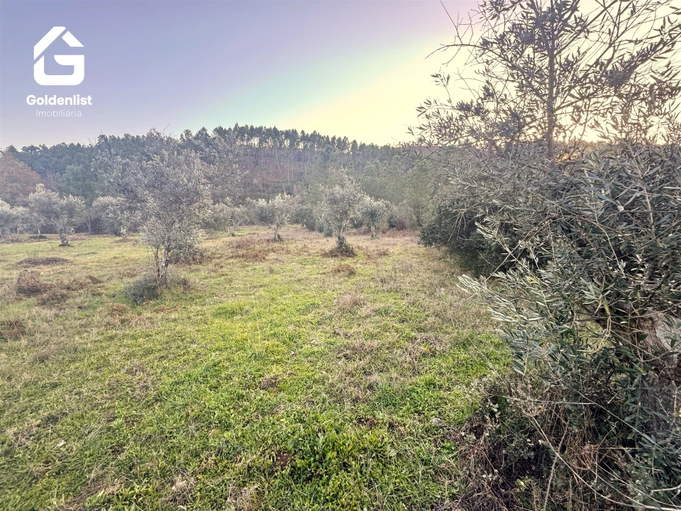 Quinta T0 para Venda em Freixial e Juncal do Campo Foto 18