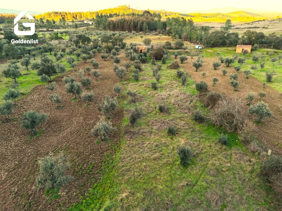 Quinta T0 para Venda em Freixial e Juncal do Campo Foto 9