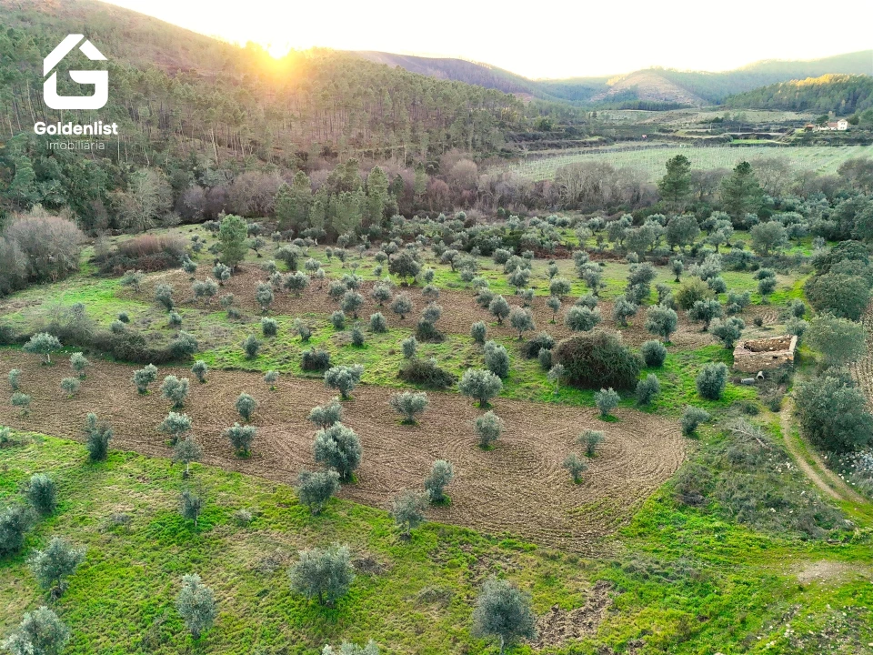 Quinta T0 para Venda em Freixial e Juncal do Campo Foto 5