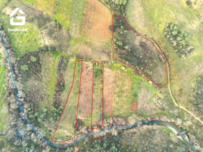 Quinta T0 para Venda em Freixial e Juncal do Campo Foto 11