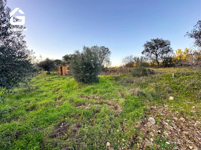 Quinta T0 para Venda em Freixial e Juncal do Campo Foto 25