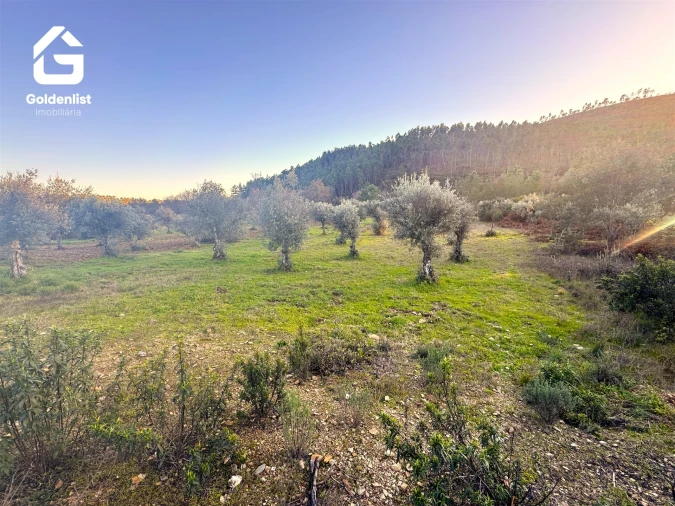 Quinta T0 para Venda em Freixial e Juncal do Campo Foto 16