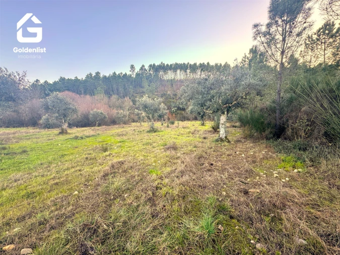 Quinta T0 para Venda em Freixial e Juncal do Campo Foto 19